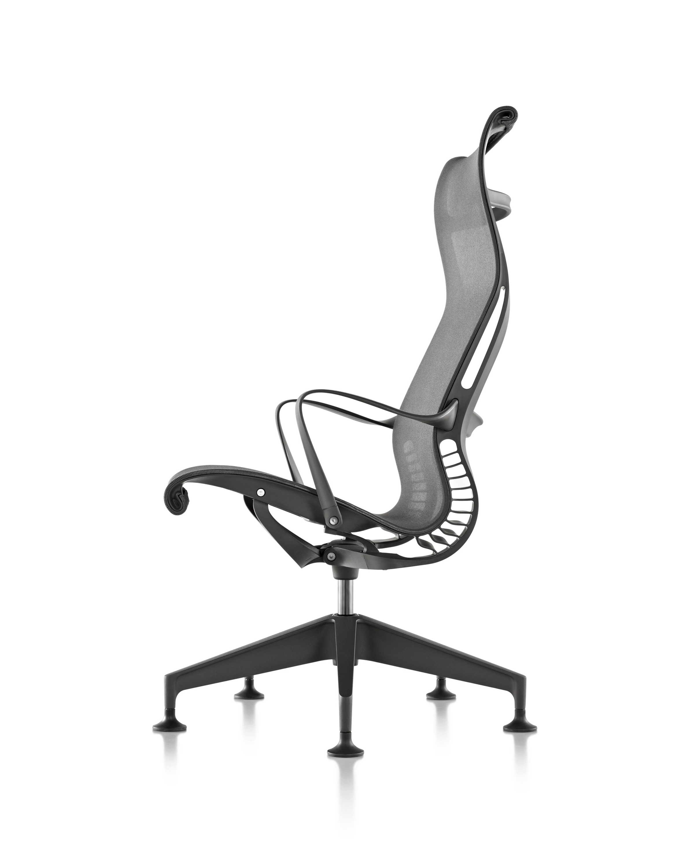 创意家具 - 坐具|躺椅|办公家具|设计师家具|塞图躺椅